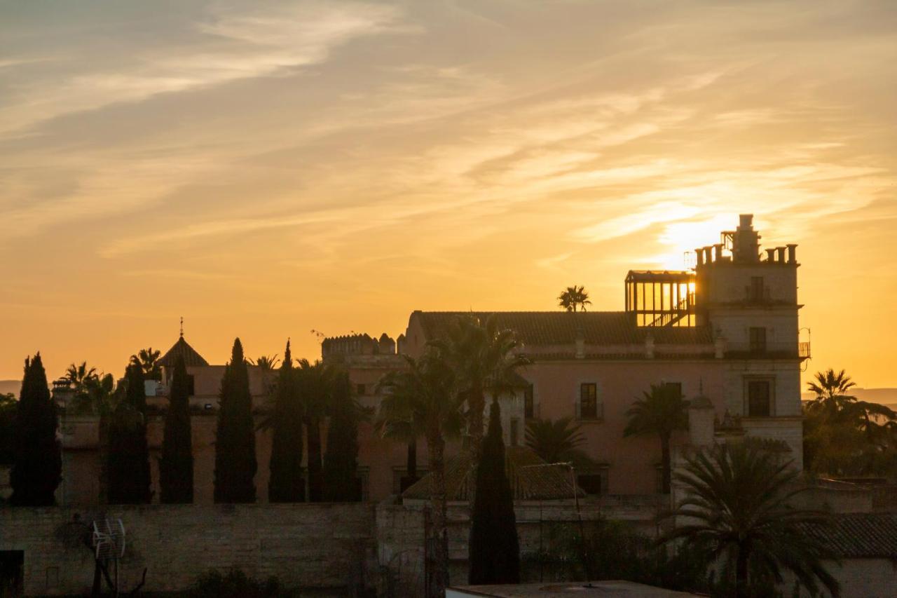 Jerez Centro 5 Dormitorios Terrazas Con Vistas Alcazar Y Plaza Arenal Jerez de la Frontera Exteriér fotografie